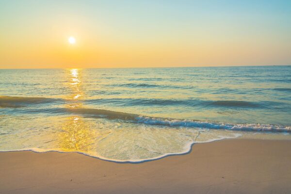 PACK RESERVA BEACH MENÚ A 4PAX